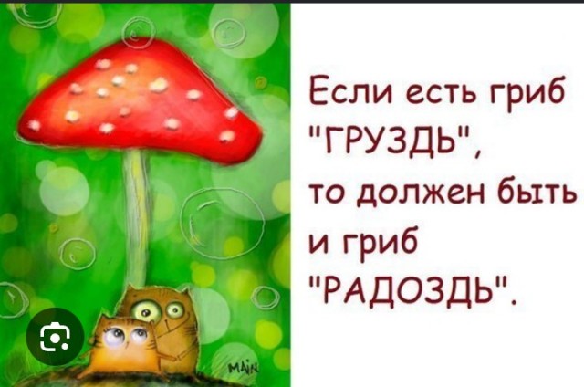 Почему германцы не собирают ежевику?