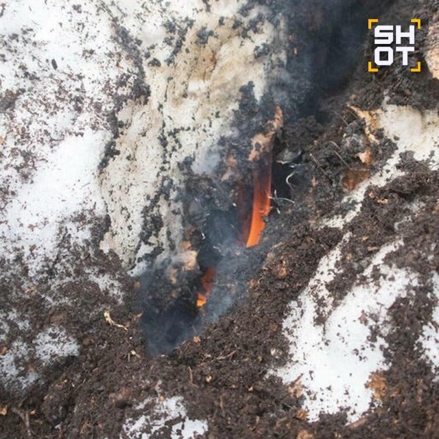 «Зомби-пожары» могут охватить российские леса весной