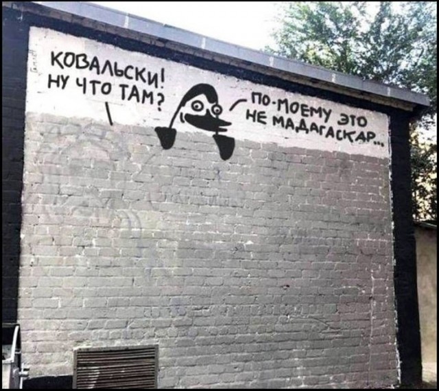 Так себе картинки 22.10.26