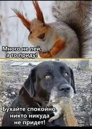 Пятничные бояны
