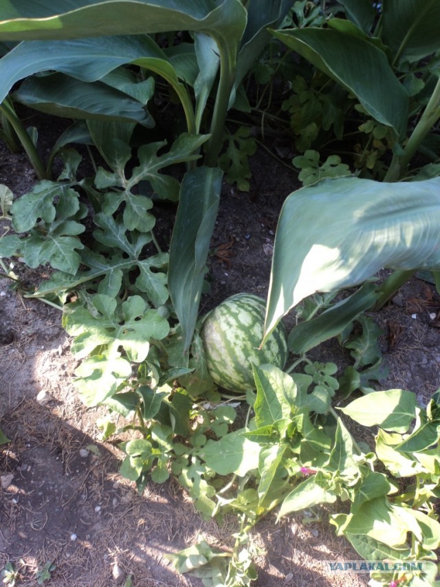 Крым: Судак и окрестности