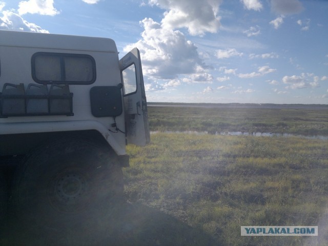 Кавказские диаспоры жалуются на ОМОН Нов.Уренгоя