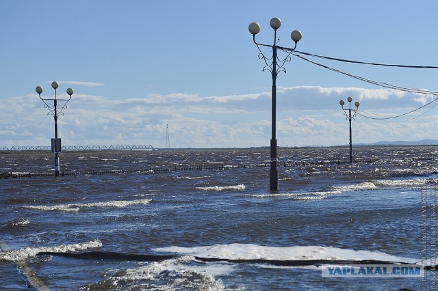Всё, вода уходит! А вместе с нею печаль, разруха..