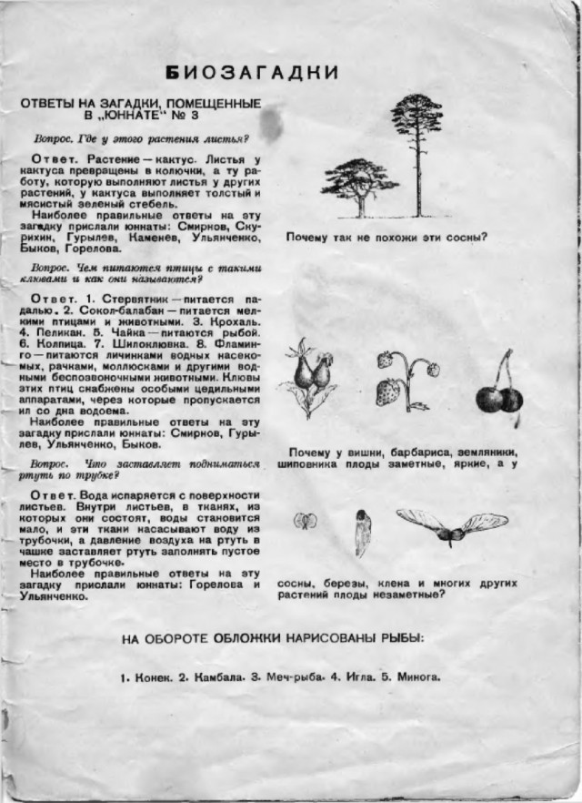 Ветхое живое время...