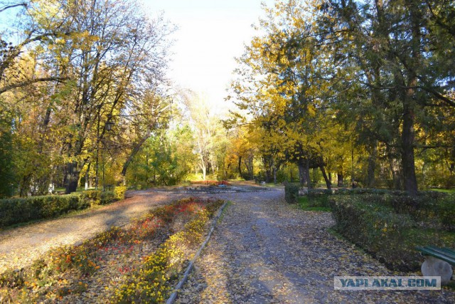 Деревенская Америка