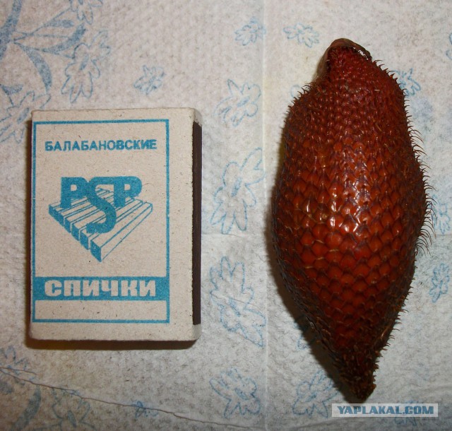Самые вкусные фрукты