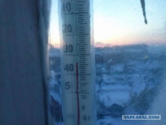 -50.0 У кого ниже?