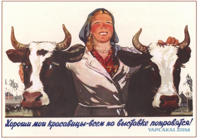 Мисс мира 2013