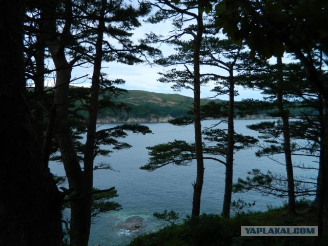 Бухта Теляковского