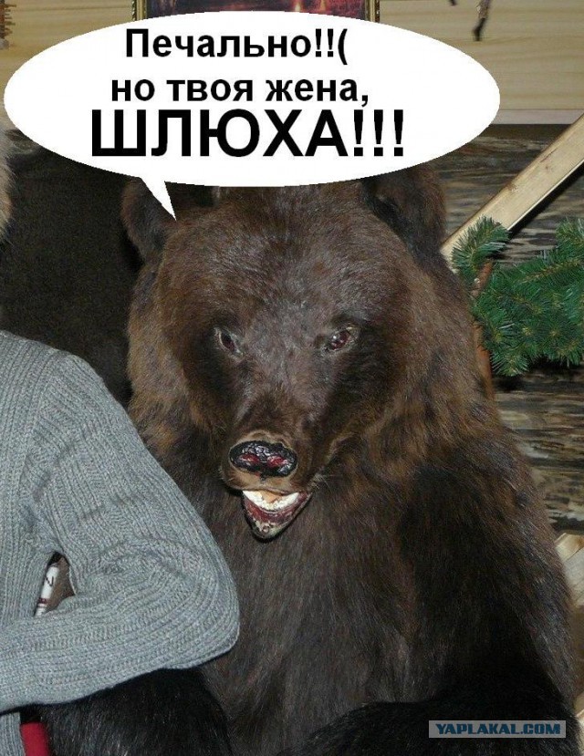 Обнаружил переписку своей жены с другом детства