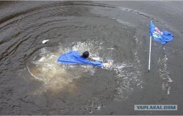 Макаревич и шарманщик