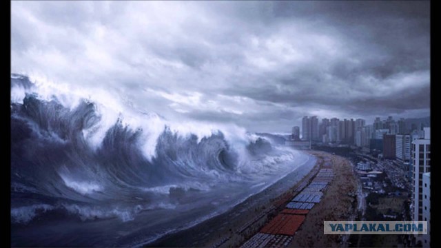 В Петербурге засыпают море