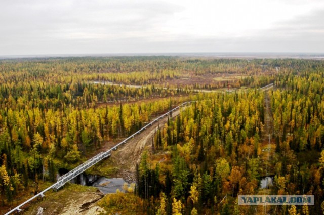 Красивая Россия