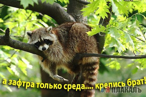 Чтото подзоебался...