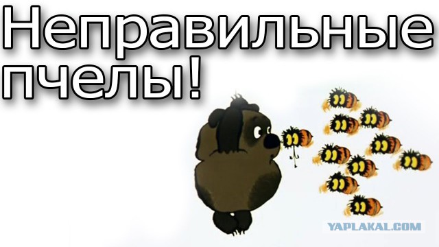Девушки в сауне.