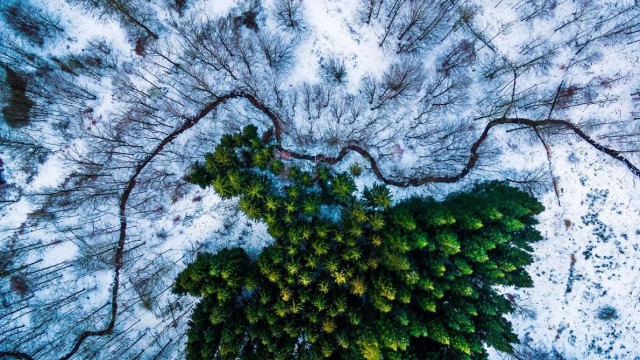 Моменты, запечатлённые на фото и просто позитив 5