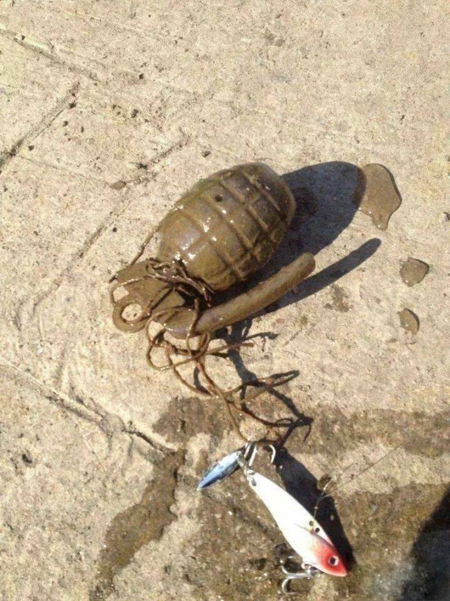 Тоска по лету и жидкой воде