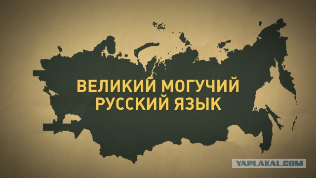 В Госдуме одобрили законопроект об упрощенной выдаче российского гражданства