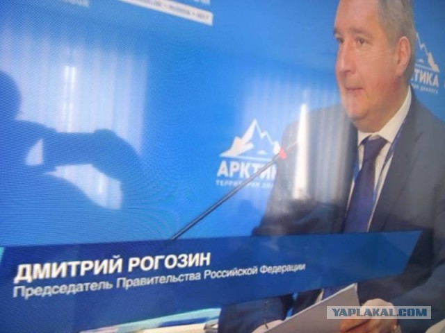 Путин пошутил по поводу несуществующей армии Исландии