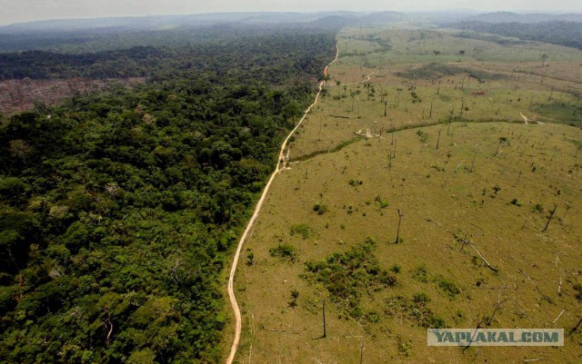 Michio Kaku: «Я не знаю что происходит с Землей, но всем нам нужно подготовиться к худшему»