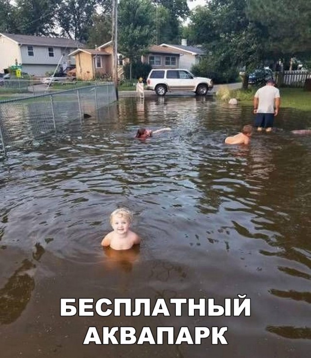 Весёлые картинки