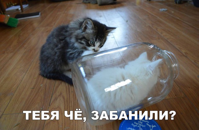 ПоСРЕДственная подборка