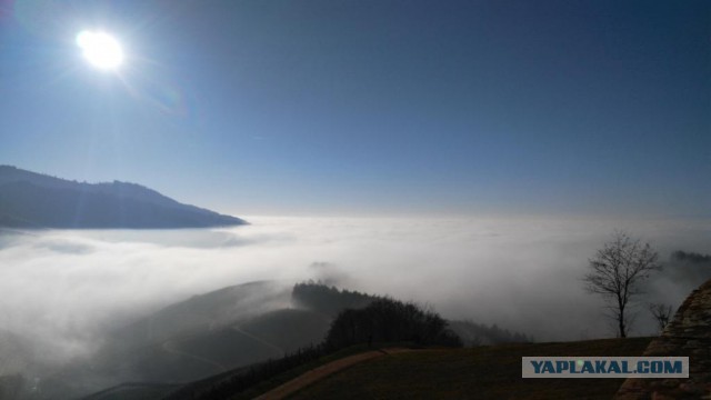 Глухомань в Германии