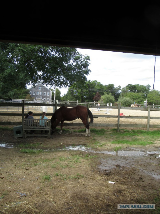 Деревенская Америка - 4