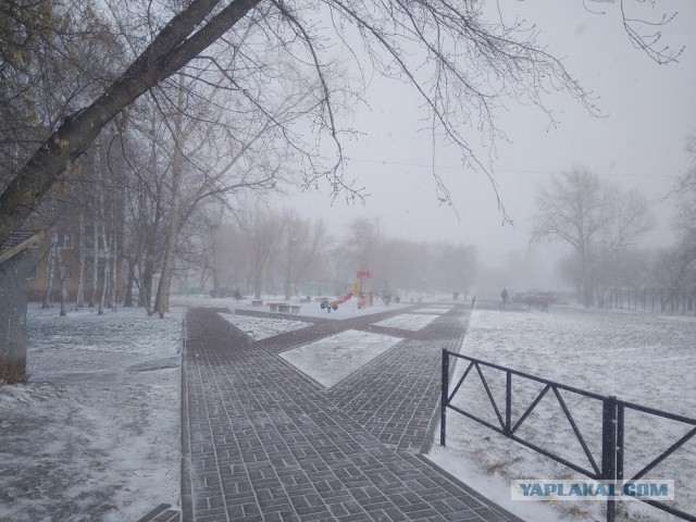 Добро пожаловать в Сибирь 28.04.2019