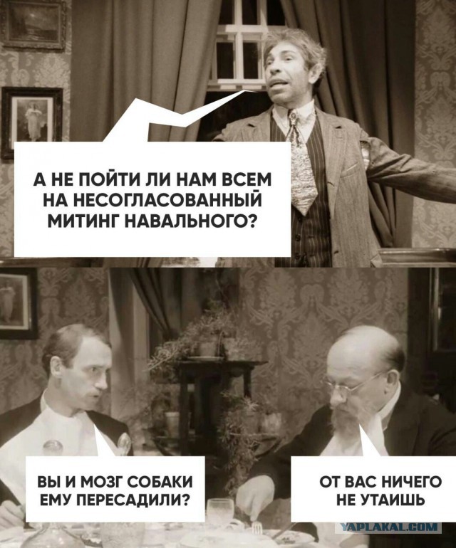 Собянин одобрил жесткие действия полиции при разгоне акции в Москве: «Они выполняли свой долг»