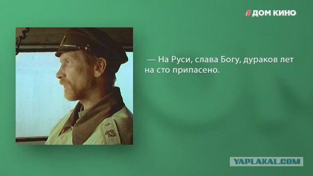 Популярность заглушек для ремней безопасности резко взлетела