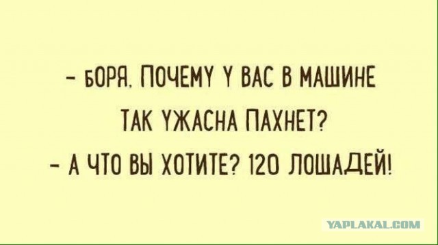 Картинки с надписями, истории и анекдоты 08.10.19