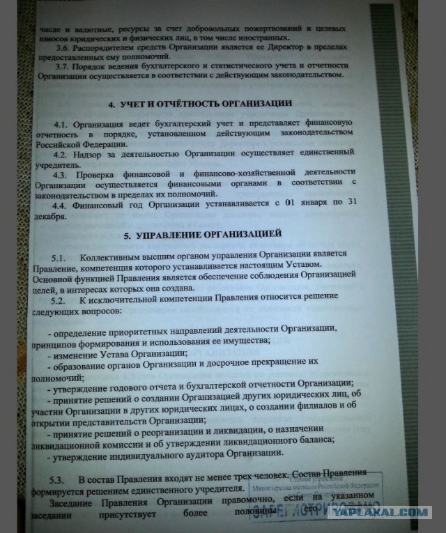 Помогите вернуть кота! Приют "Преданное сердце" украл кота и не отдает!-2
