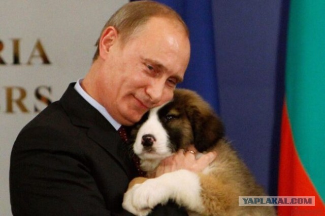 ​Путин выступит с обращением к нации в связи с голосованием по поправкам