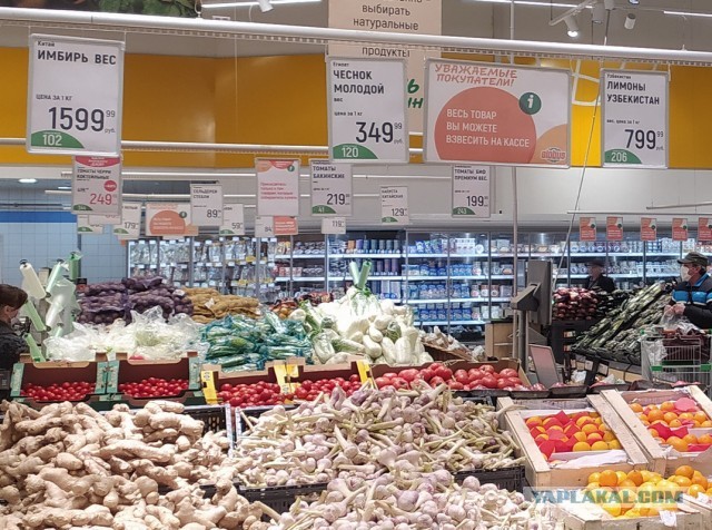 Имбирь
