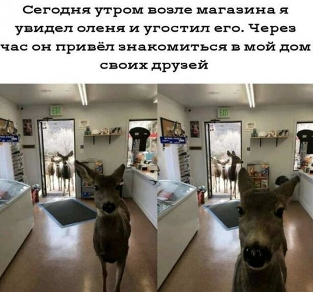 За 500 гитару не купишь и чем отличается девушка от женщины