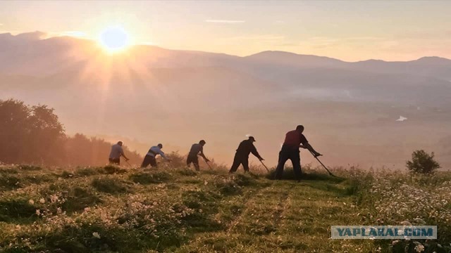 Упрекнул женщин на сайте знакомств в том, что они мало зарабатывают. Показываю ответы