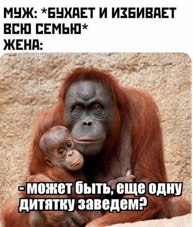 Бредзона 12.07.2020