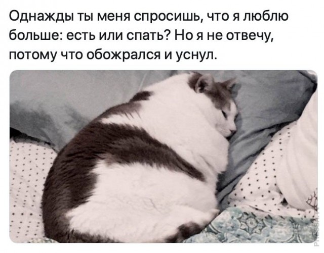 Бредзона 03.09.2020