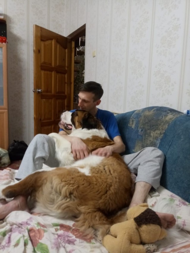 Служебные щенята
