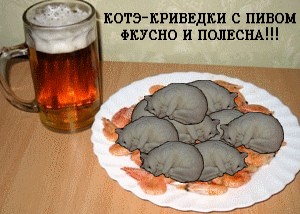 Котэ-креведко