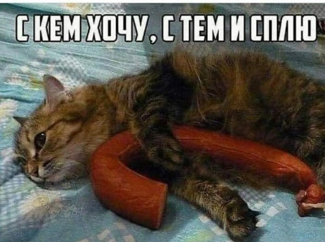 Пятница. И немного слегка пошлых картинок с надписями и без 16+ (11.12)