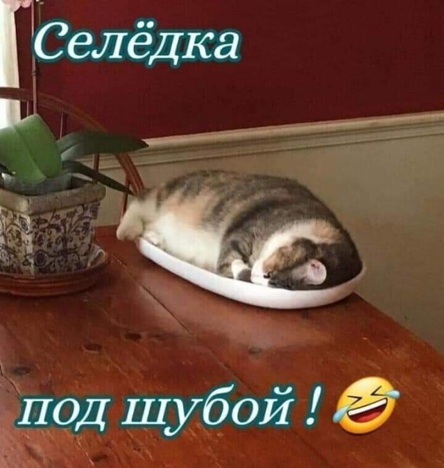 Картинки из недр интернета