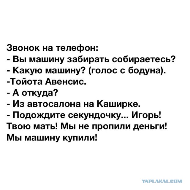Фотки и картинки: юморные и красивые, забавные и милые 21.12.20