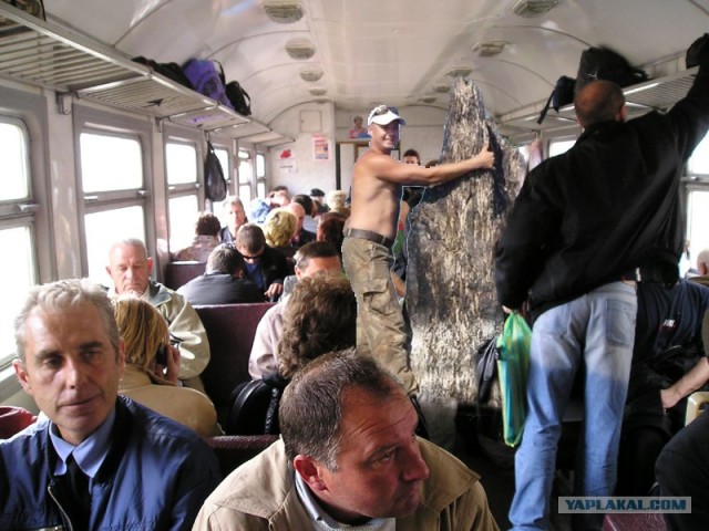 Фотожаба: На пеньке