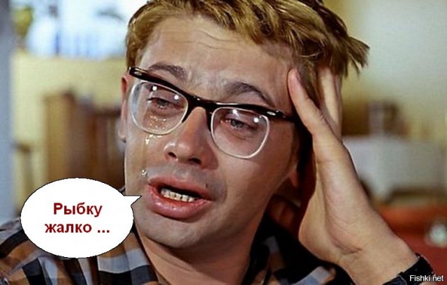 Лето, речка, караси