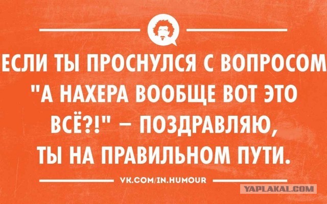 Весёлый полтишок 6.03