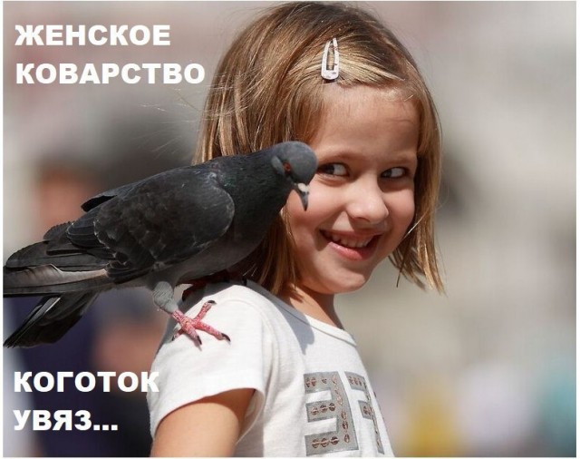 Картинки разные