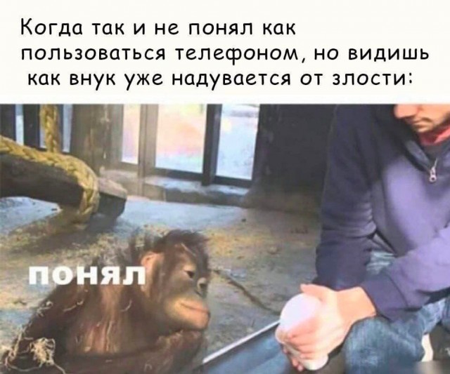 Картинки разные