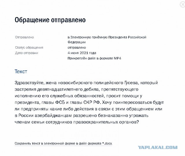 Жена случайно застрелившего нарушителя сотрудника ДПС обратилась к Путину и ФСБ